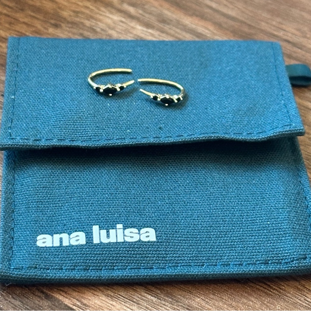 Ana Luisa Gold and Black Hook Earrings Waterproof Hypoallergenic